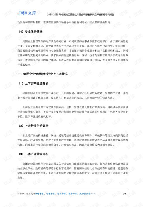 2021-2025年中國(guó)集團(tuán)管理軟件行業(yè)趨勢(shì)與創(chuàng)新開發(fā)戰(zhàn)略報(bào)告